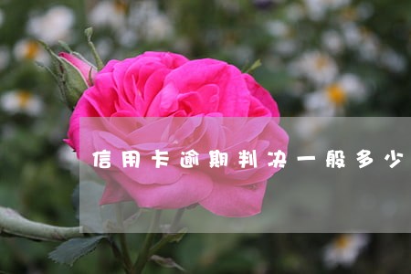 信用卡逾期判决一般多少天 信用卡逾期判决一般多少天