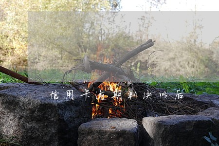 信用卡逾期判决以后 信用卡逾期判决以后