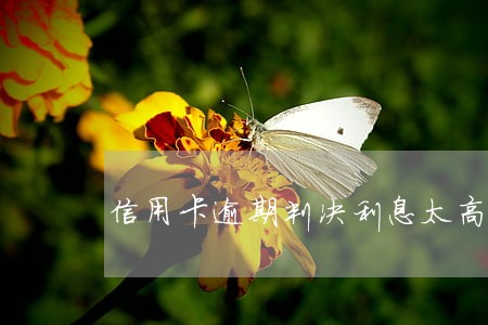 信用卡逾期判决利息太高了 信用卡逾期判决利息太高了
