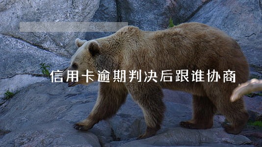 信用卡逾期判决后跟谁协商 信用卡逾期判决后跟谁协商