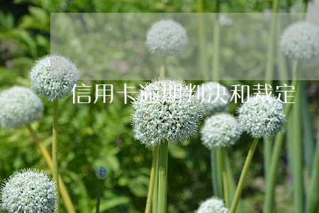 信用卡逾期判决和裁定 信用卡逾期判决和裁定