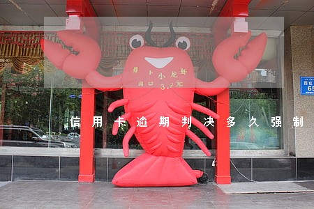 信用卡逾期判决多久强制执行 信用卡逾期判决多久强制执行