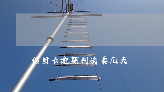 信用卡逾期判决要几天