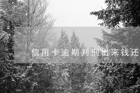 信用卡逾期判刑出来钱还不上