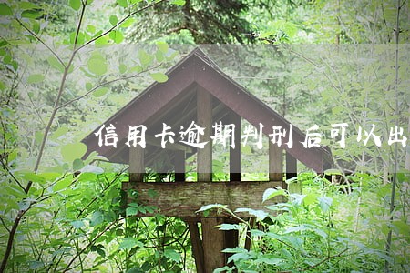 信用卡逾期判刑后可以出国吗
