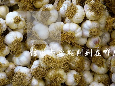 信用卡逾期判刑在哪服刑 信用卡逾期判刑在哪服刑