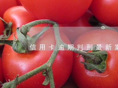 信用卡逾期判刑最新案例 信用卡逾期判刑最新案例