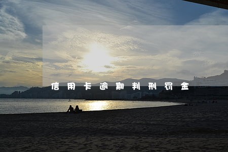 信用卡逾期判刑罚金 信用卡逾期判刑罚金
