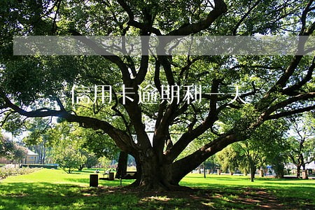 信用卡逾期利一天