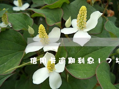 信用卡逾期利息17块钱 信用卡逾期利息17块钱