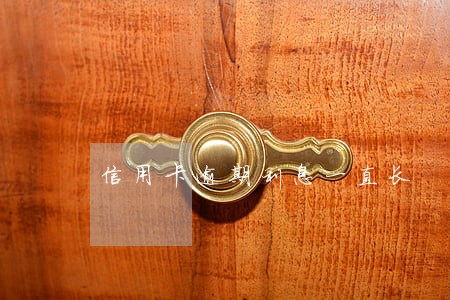 信用卡逾期利息一直长 信用卡逾期利息一直长