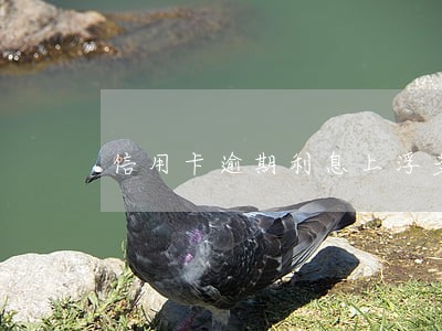 信用卡逾期利息上浮多少 信用卡逾期利息上浮多少