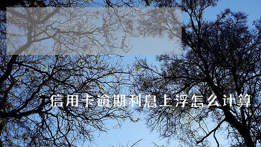 信用卡逾期利息上浮怎么计算 信用卡逾期利息上浮怎么计算