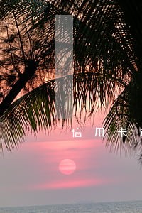 信用卡逾期利息不得超过