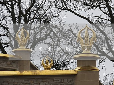 信用卡逾期利息不能减免 信用卡逾期利息不能减免