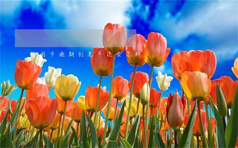 信用卡逾期利息不还会怎样 信用卡逾期利息不还会怎样