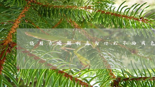 信用卡逾期利息为什么不给减免