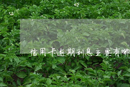 信用卡逾期利息主要有哪些 信用卡逾期利息主要有哪些
