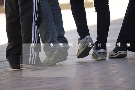 信用卡逾期利息什么时候能停止 信用卡逾期利息什么时候能停止