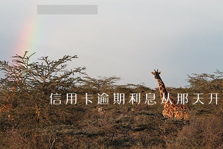 信用卡逾期利息从那天开始算 信用卡逾期利息从那天开始算