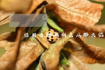 信用卡逾期利息从那天记起 信用卡逾期利息从那天记起