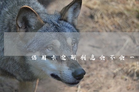 信用卡逾期利息会不会一直上升 信用卡逾期利息会不会一直上升