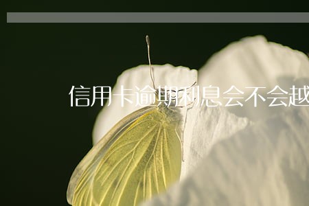 信用卡逾期利息会不会越来越高 信用卡逾期利息会不会越来越高