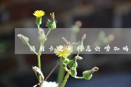 信用卡逾期利息会增加吗 信用卡逾期利息会增加吗