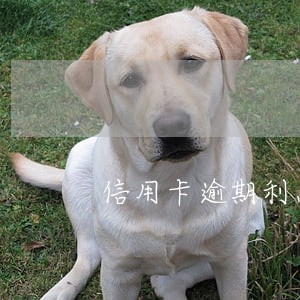 信用卡逾期利息会算复利吗 信用卡逾期利息会算复利吗