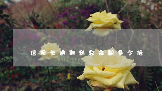 信用卡逾期利息会翻多少倍