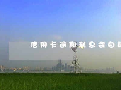 信用卡逾期利息会自动停 信用卡逾期利息会自动停