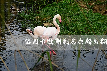 信用卡逾期利息会超出额度吗 信用卡逾期利息会超出额度吗