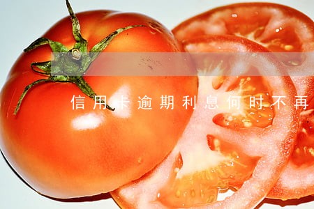 信用卡逾期利息何时不再滚动
