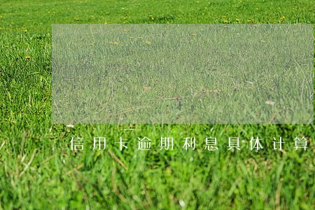 信用卡逾期利息具体计算