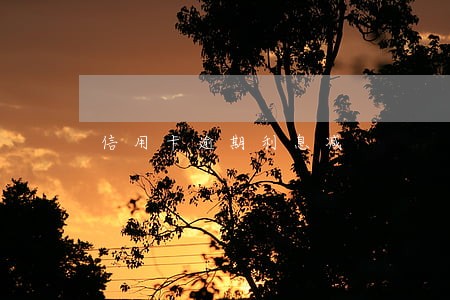 信用卡逾期利息减 信用卡逾期利息减