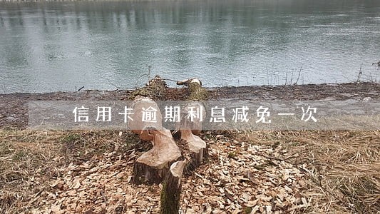 信用卡逾期利息减免一次 信用卡逾期利息减免一次