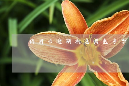 信用卡逾期利息减免多少 信用卡逾期利息减免多少