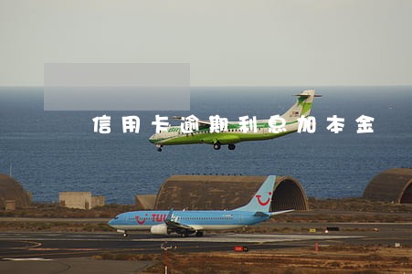 信用卡逾期利息加本金