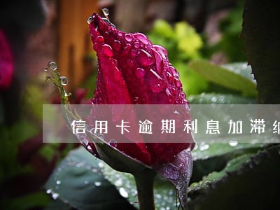 信用卡逾期利息加滞纳金超过两分 信用卡逾期利息加滞纳金超过两分
