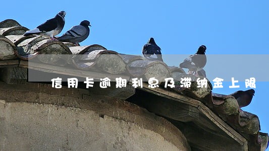信用卡逾期利息及滞纳金上限