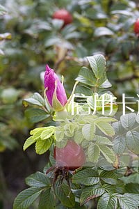 信用卡逾期利息可以少付吗