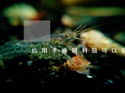 信用卡逾期利息可以抵扣吗 信用卡逾期利息可以抵扣吗