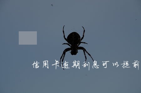 信用卡逾期利息可以提前还吗