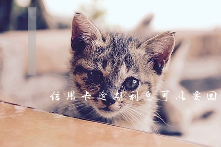 信用卡逾期利息可以要回来吗