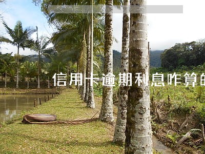信用卡逾期利息咋算的 信用卡逾期利息咋算的