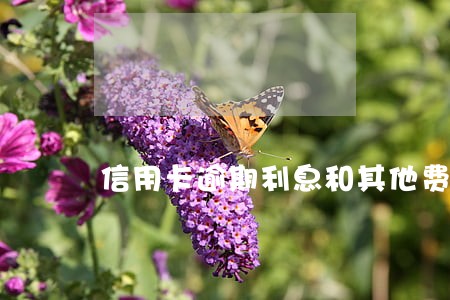 信用卡逾期利息和其他费用 信用卡逾期利息和其他费用