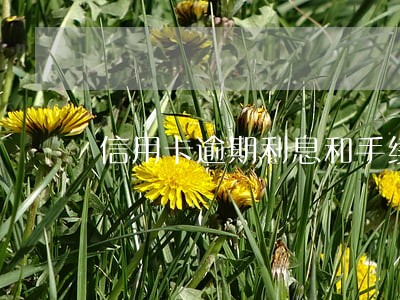 信用卡逾期利息和手续费 信用卡逾期利息和手续费