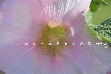 信用卡逾期利息和滞纳金年化 信用卡逾期利息和滞纳金年化