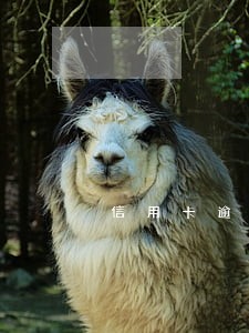 信用卡逾期利息和违约金会涨吗 信用卡逾期利息和违约金会涨吗