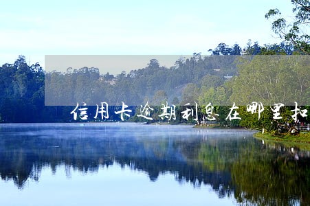 信用卡逾期利息在哪里扣